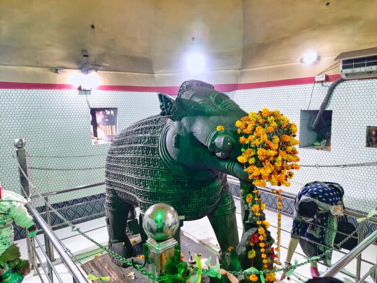 Majholi – A Varaha Imprisoned